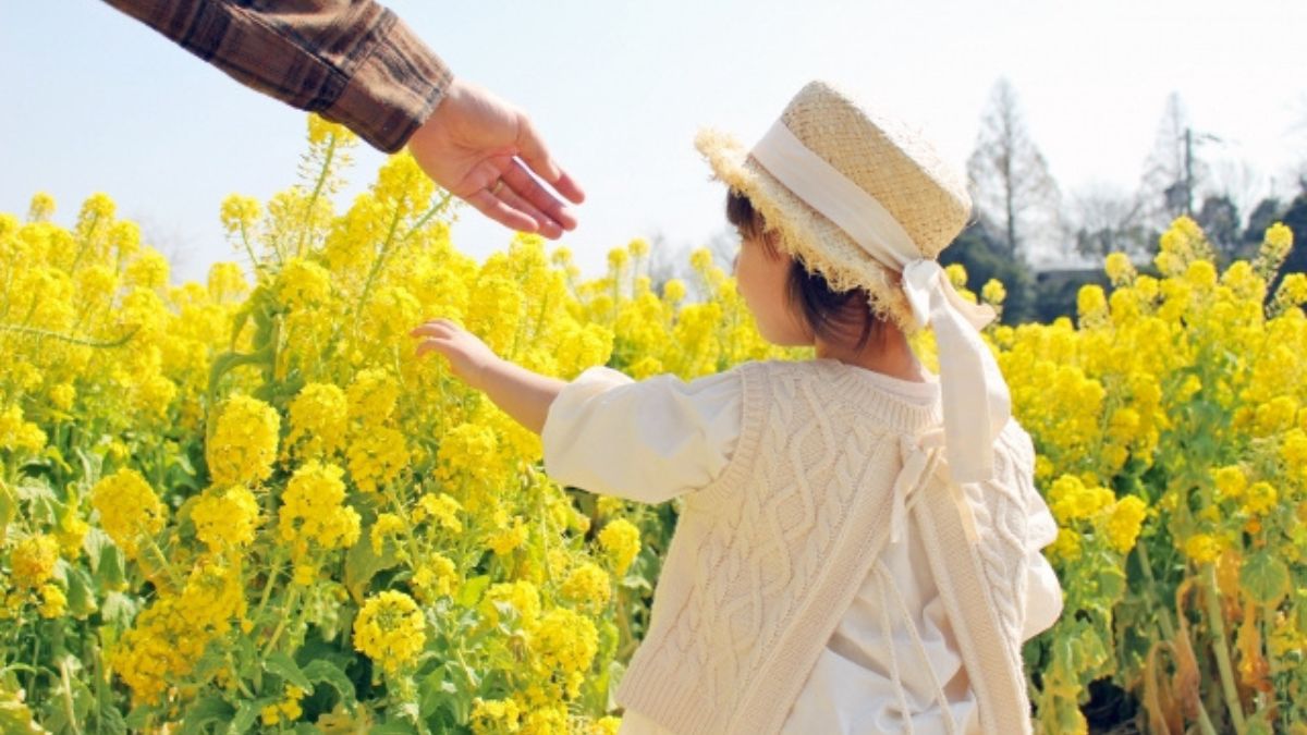 イクメンとして魅力を見せたい既婚男性の心理イメージ